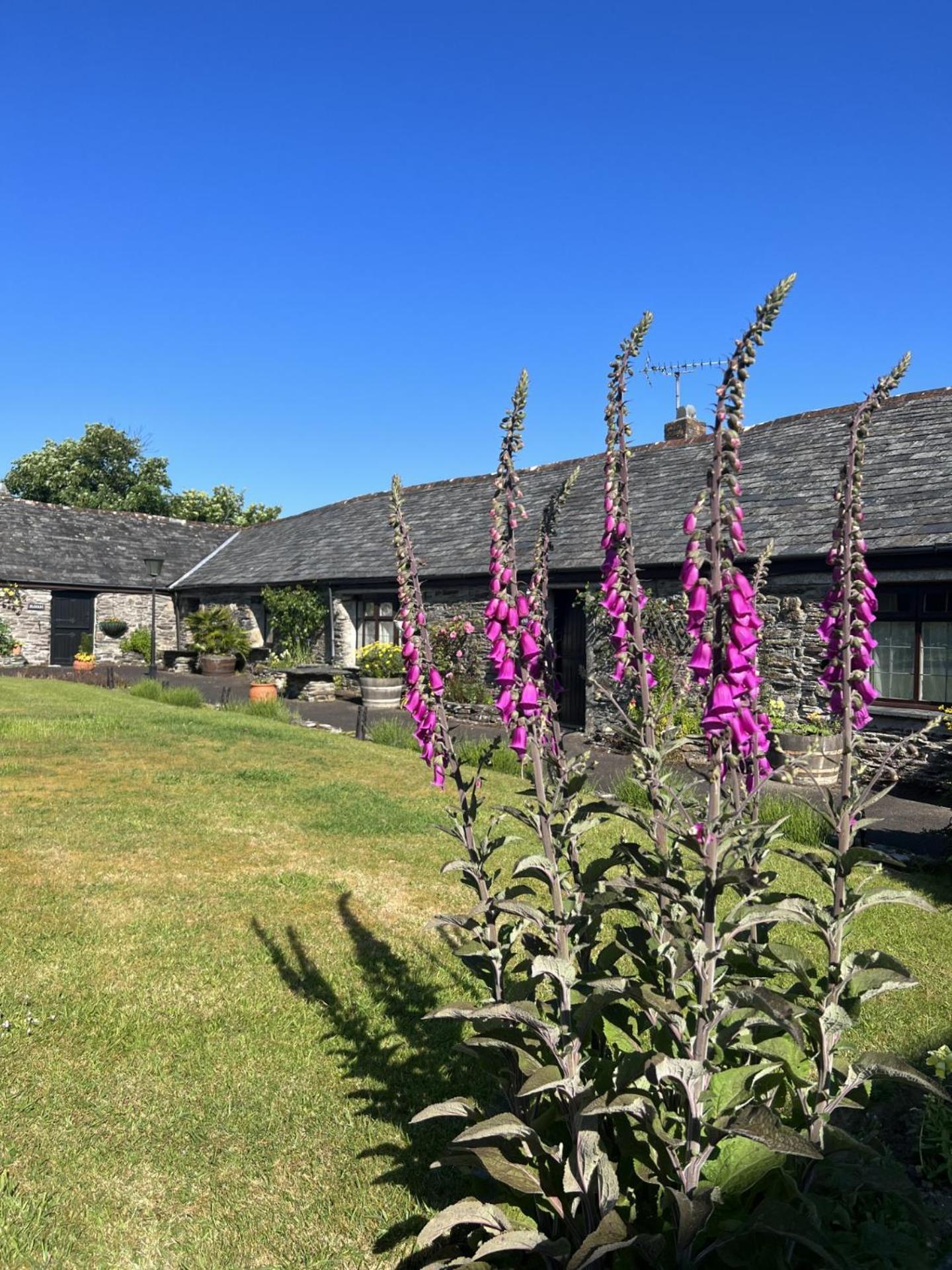 Сasa de vacaciones Courtyard Farm