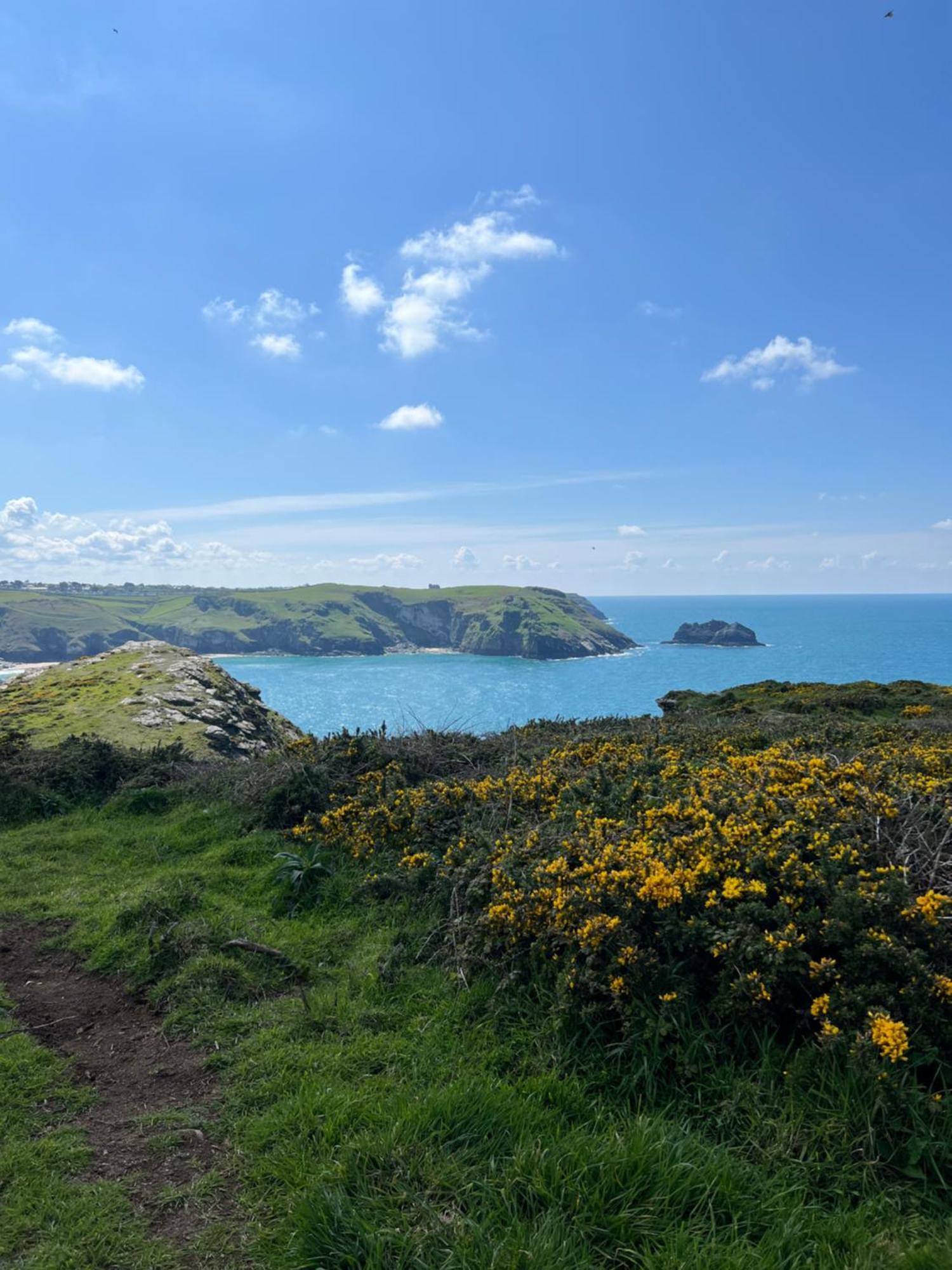 Сasa de vacaciones Courtyard Farm Boscastle