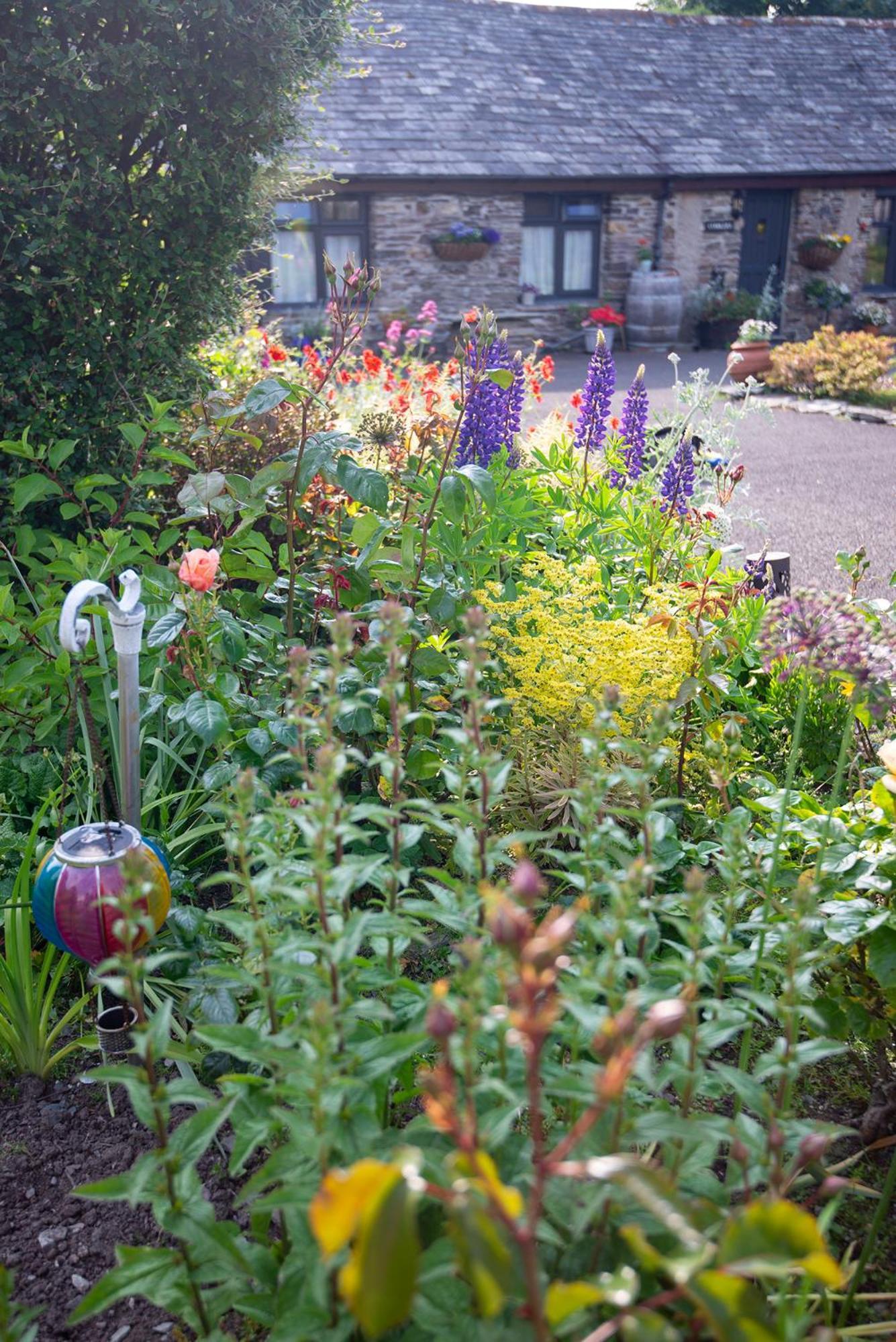 Courtyard Farm Boscastle